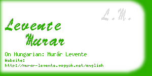 levente murar business card